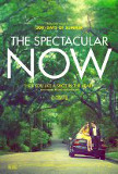 Spectacular Now, The Poster